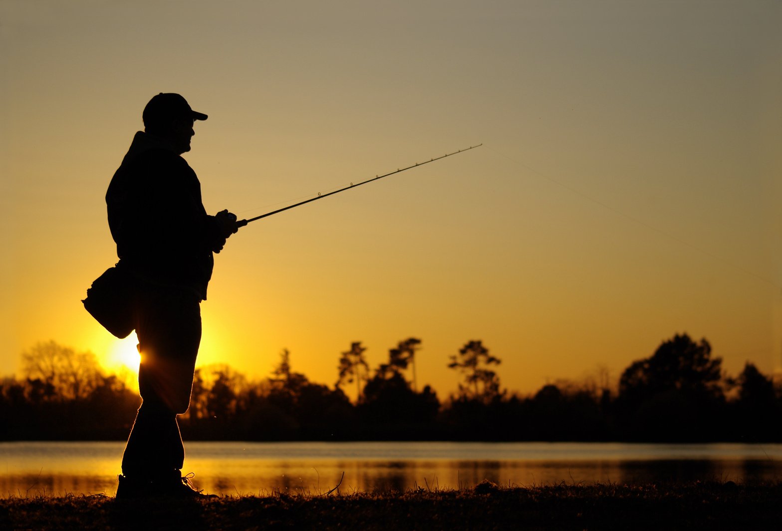 fishing scene, catch of fish, lure fishing